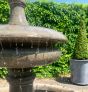 Single tier Georgian Chalice water fountain & 2.1 pool surround