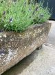 Lovely early 19th century D ended stone trough (slight damage,reduced, sold as seen)