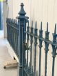 Ornate cast iron ped gate and posts with matching railing