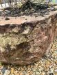 D shaped red sandstone planter trough