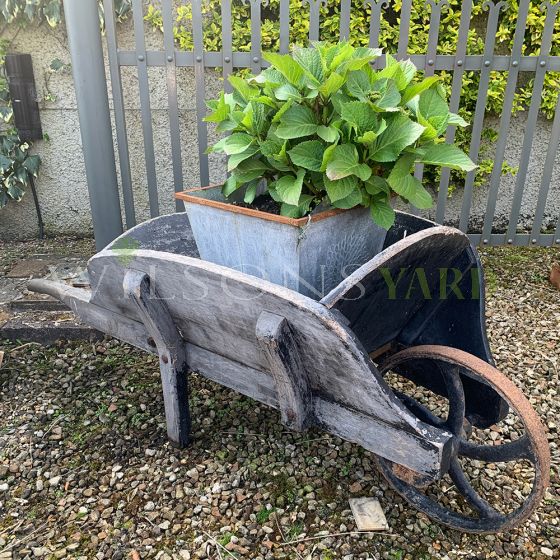 Vintage garden wheelbarrow 