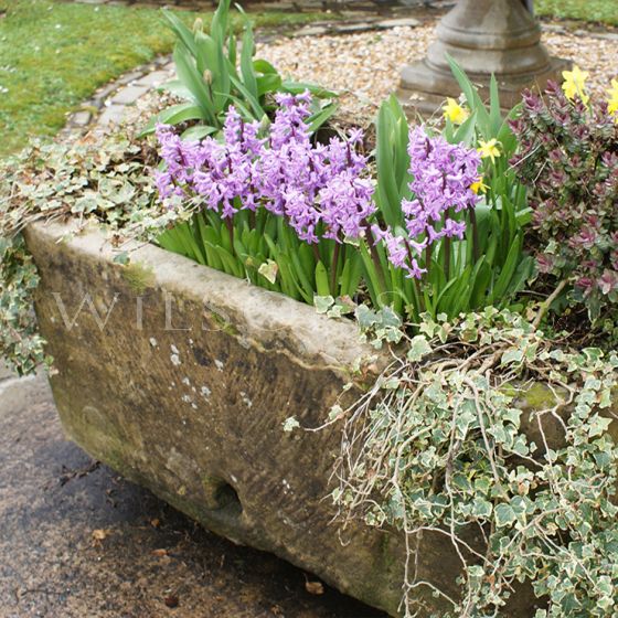 Magnificent large Georgian stone trough